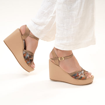 Aliada camel