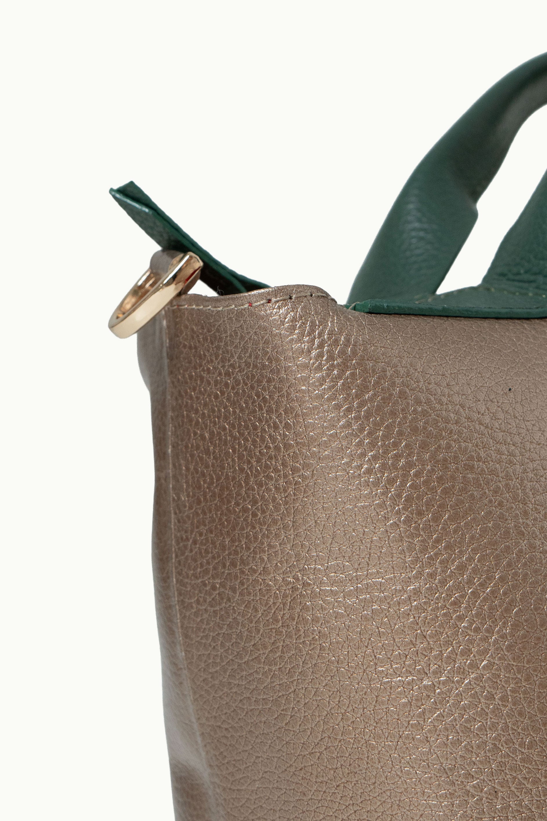 Bolso Luzia